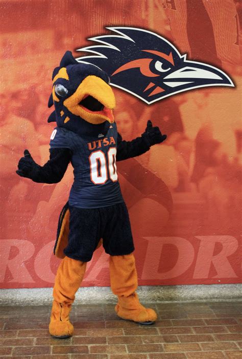 The Road to Rowdy: The Selection Process of the UTSA Roadrunner Mascot